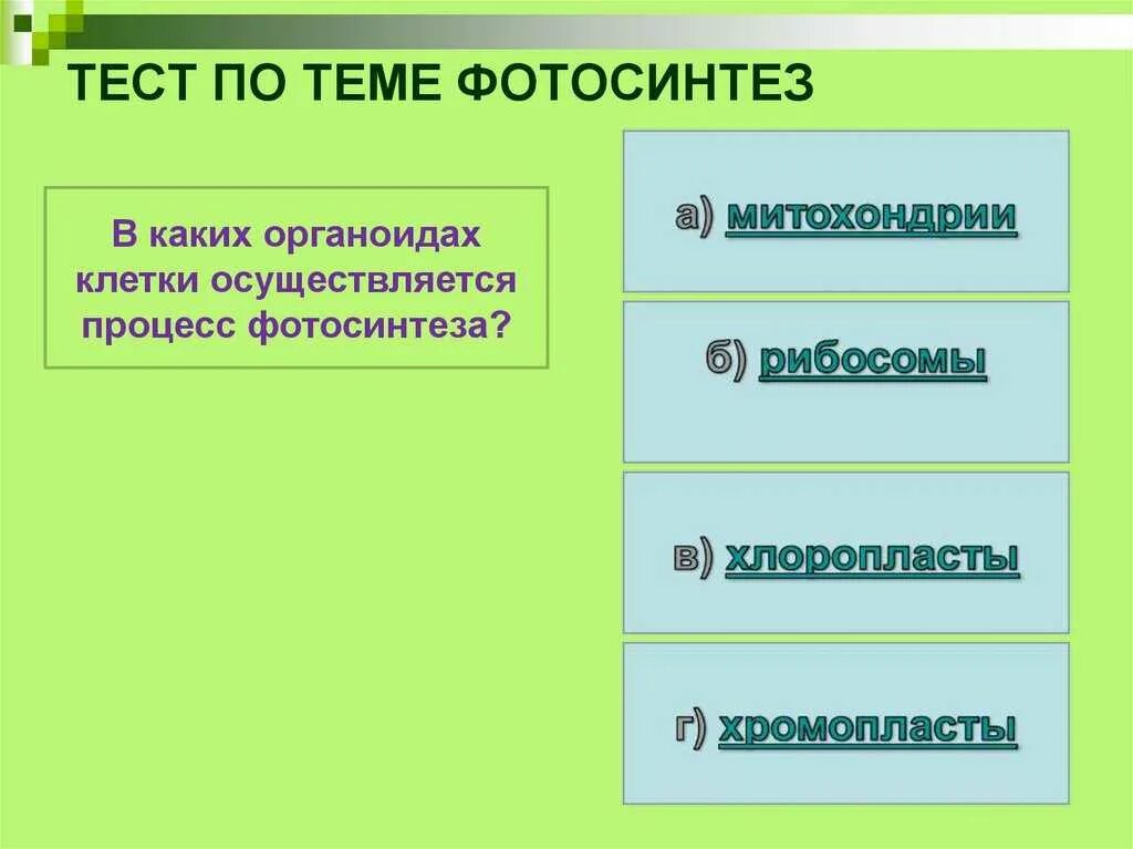 Контрольная работа по теме фотосинтез. Вопросы по теме дыхание. Контрольная работа по теме фотосинтез. Тест по биологии 6 класс фотосинтез с ответами. Контрольная работа по теме фотосинтез.