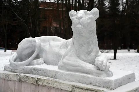 Парк пионеров курск
