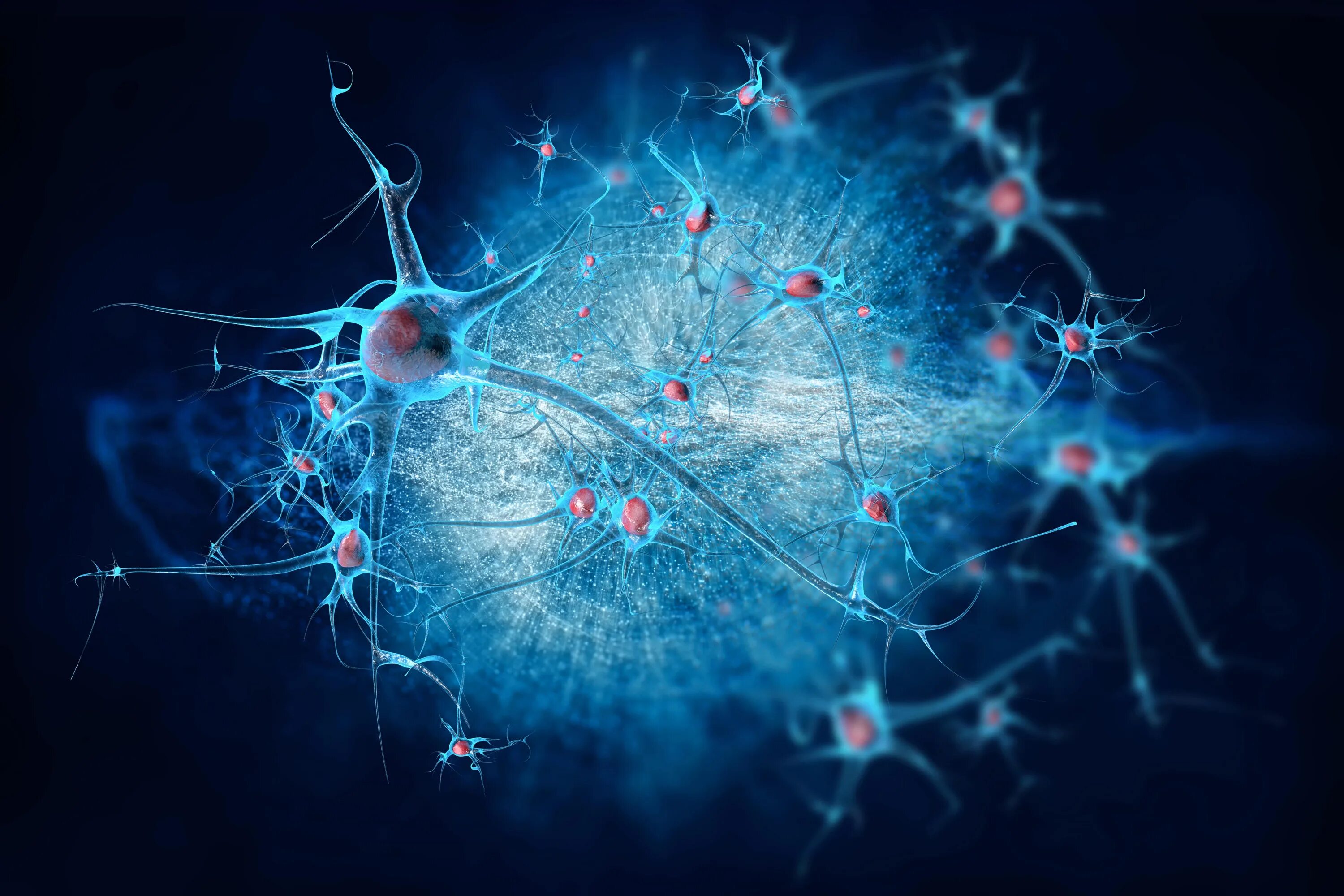Нейронная сеть человеческого мозга. Нейрон клетка головного мозга. Нейронные клетки головного мозга. Нейронные связи в мозге. Нейрон красивый.