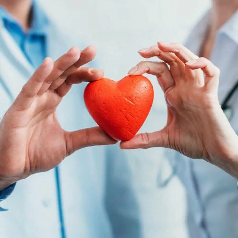 Сердце работает всю жизнь. Работа в сердечке. Чтобы сердце было здоровым. Здоровое сердце – залог активной жизни.