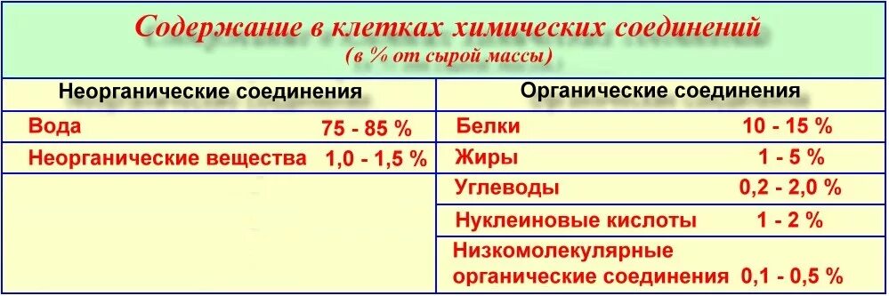 Химические соединения клетки органические и неорганические.