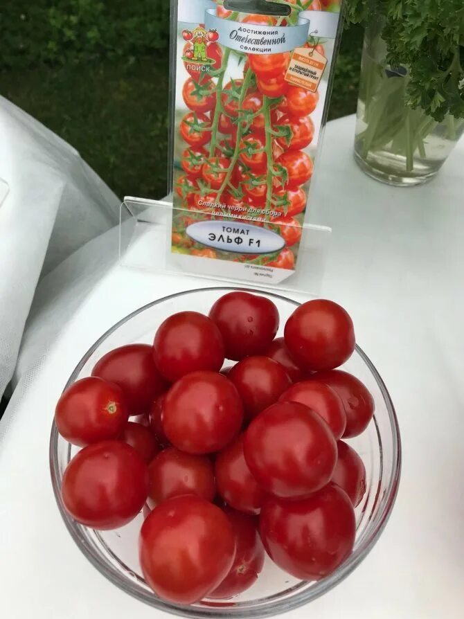 Самый вкусный сорт черри. Томат черри эльф f1. сорт черри вишня красная. томат черри вишня красная. помидор черри вишенка f1.