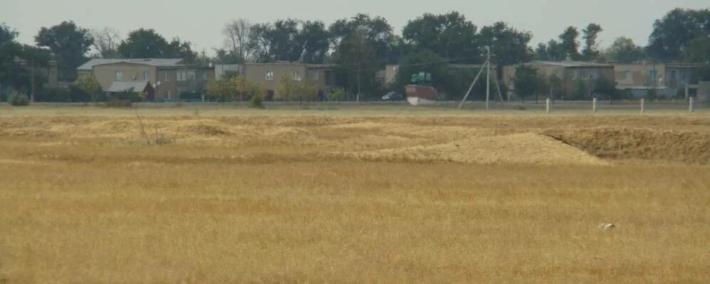 Погода в радищево новоузенского района. Радищево Новоузенский район. П Радищево Новоузенский район Саратовской области. Поселок основной Новоузенского района Саратовской области. Поселок Алгайский Новоузенский район.