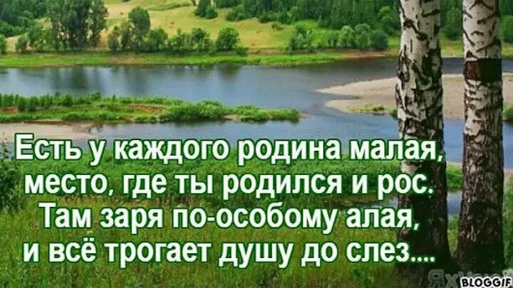Там где рождается буду я. Дом там где ты цитаты. Высказывания о родине. Стихи алтайских писателей о родине. Дом там где.