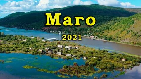 Маго