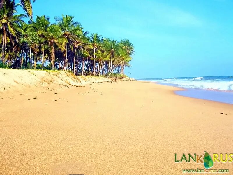 Пляж Ваддува Шри Ланка. Ваддува, Калутара. Пляж Алутгама Шри Ланка. Пляж Косгода Шри Ланка.