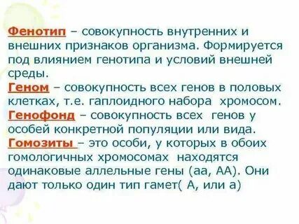 Как называется совокупность внешних и внутренних