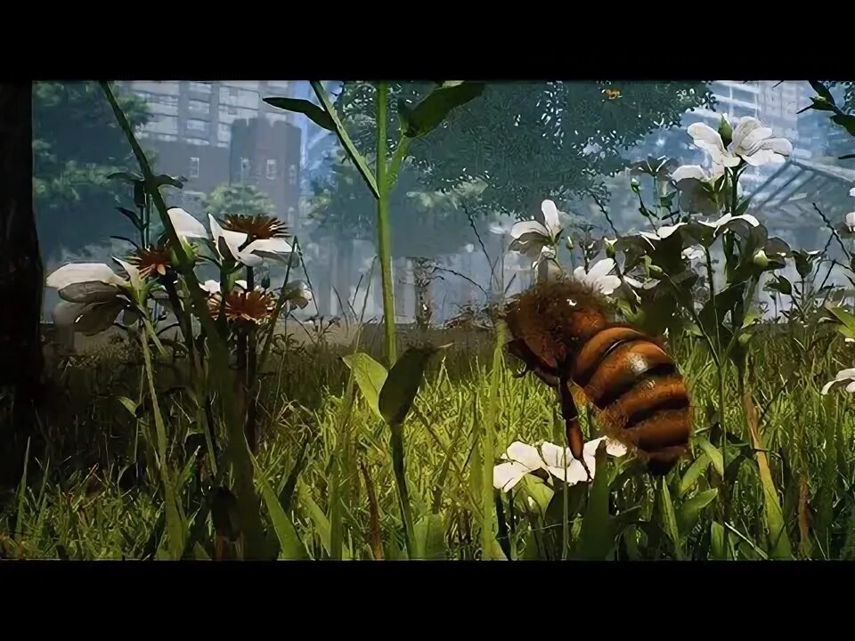 Пчелы что играл. Симулятор пчелы. bee simulator [ps4]. little bee игра. симулятор пчелы на телефон.