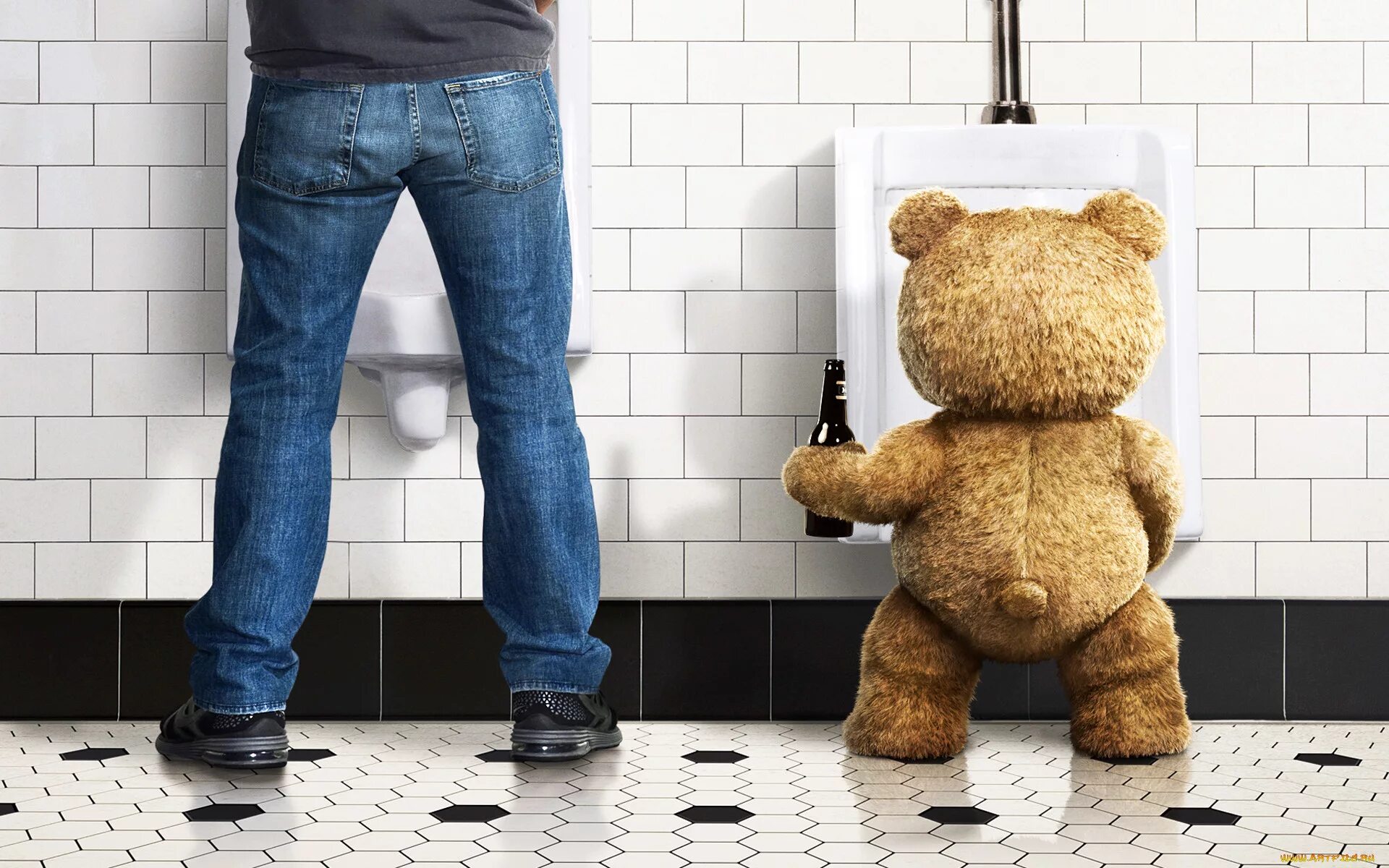 Плюшевый туалет. Третий лишний медведь Тед. Мишка Тедди 3 лишний.