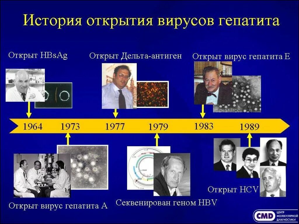 История открытия вирусных гепатитов. Гепатит с история открытия. Вирус гепатита с история открытия. Кто открыл вирус гепатита с. История вирусных гепатитов