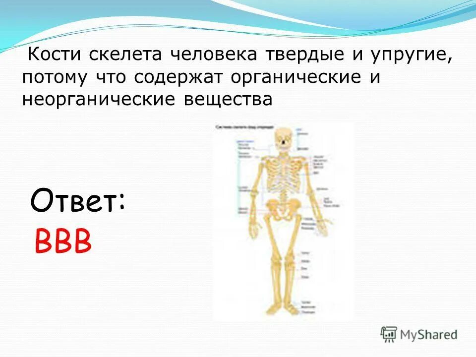 вывод о значении опорных систем.