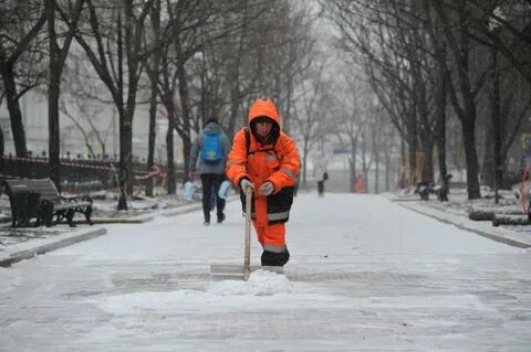 Чистили двор