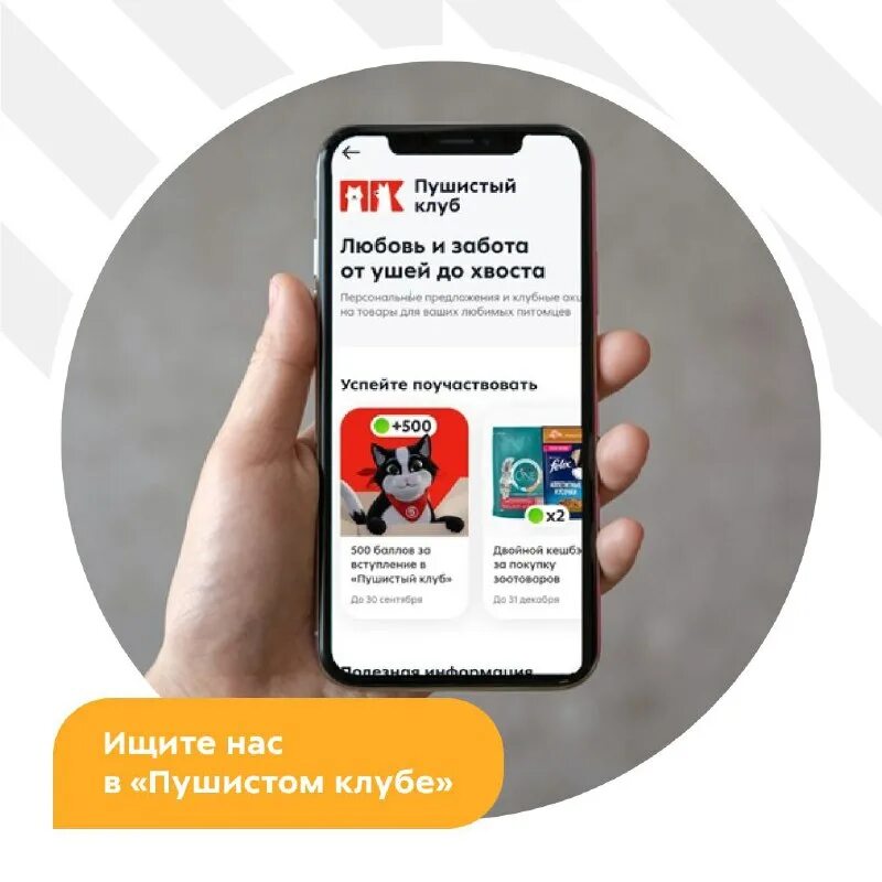 карта лояльности пятерочка. карта х5 клуб. X5 клуб пятерочка перекресток. карта х5 клуб. мобильное приложение пятерочка х5 клуб.