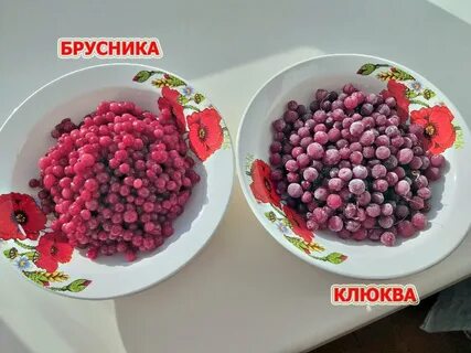 Клюква или брусника