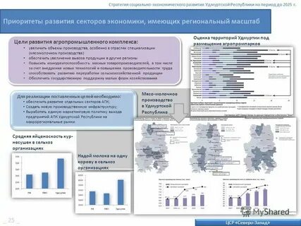 Стратегии развития отраслей промышленности