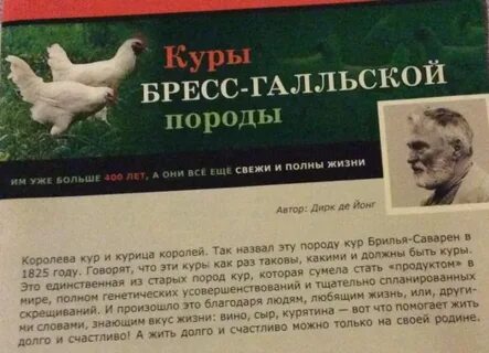Описание кур породы брессгальские