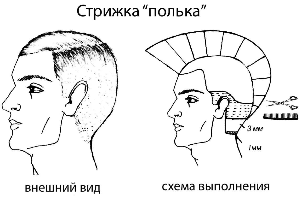 Технология выполнения мужской стрижки. Стрижка полубокс схема выполнения. Стрижка полубокс бокс схема стрижки. Мужские стрижки бокс полубокс канадка. Стрижка полубокс мужская схема выполнения.