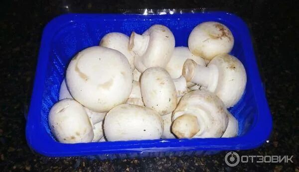 Шампиньоны и вешенки. Почему детям нельзя есть грибы. Со скольки можно есть шампиньоны. Шампиньоны на пару в мультиварке. С какого возраста можно есть грибы детям.