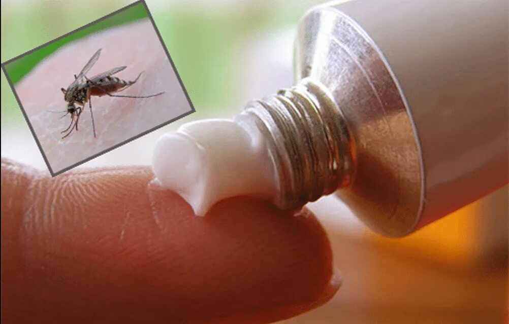 Народные средства помогающие при укусе насекомых. Мазь после укуса мошки комара.