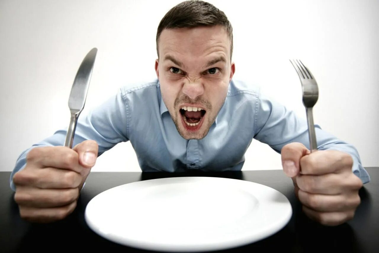 Люди просят еду. Собаки за едой. Люди просят еду. Люди просят еду картинки. Собака ворует еду.