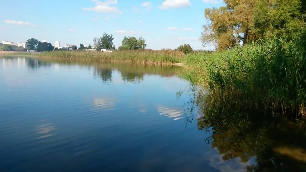 Карьер Орел светлая жизнь. Орел оз светлая жизнь. Озеро светлая жизнь Орел. Озеро светлая жизнь в г Орле.