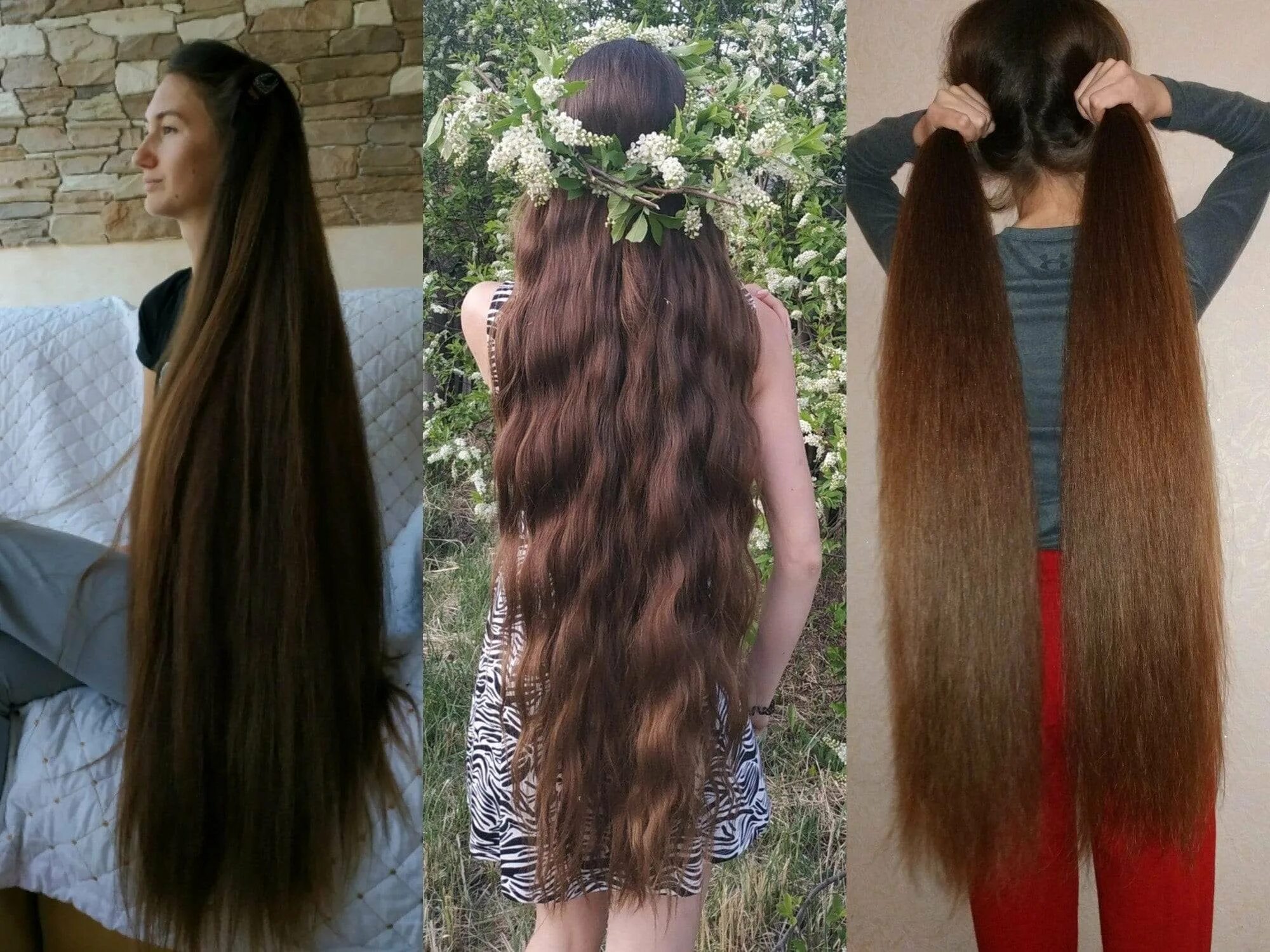Отрастить длинные волосы. Вырастить длинные волосы. Как отрастить длинные волосы. Отросли длинные волосы.