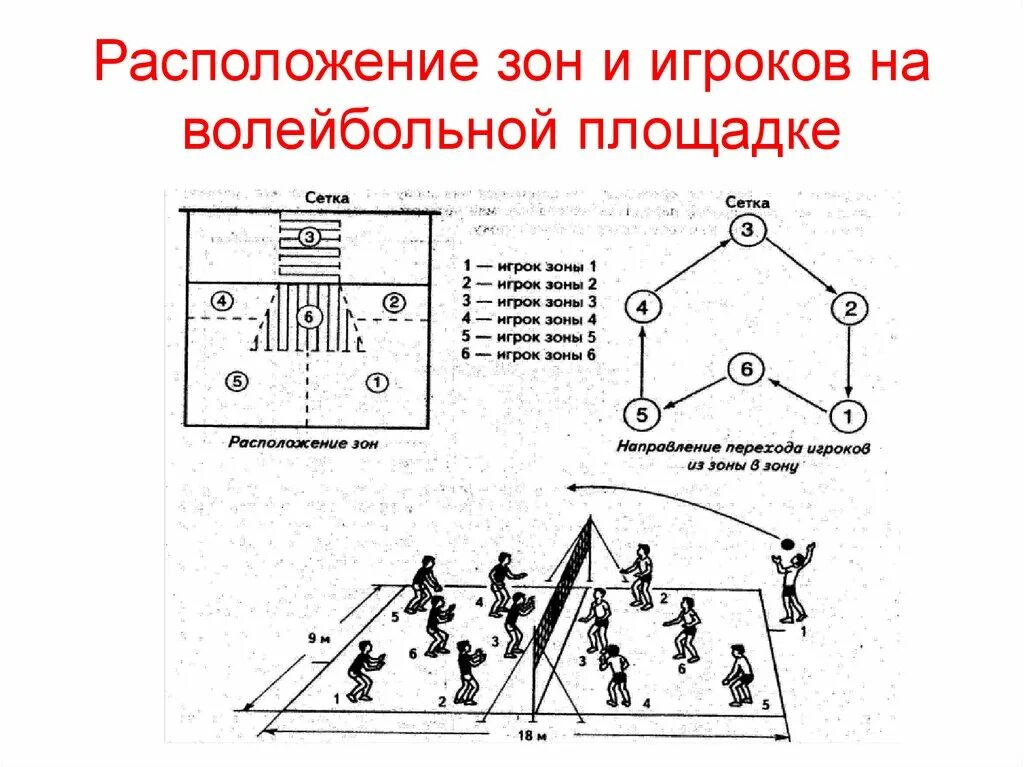 Волейбольная площадка схема с зонами. Расположение игроков на волейбольной площадке схема. Схемы расстановки волейболистов. Волейбольная площадка схема и разметка с расстановкой игроков.