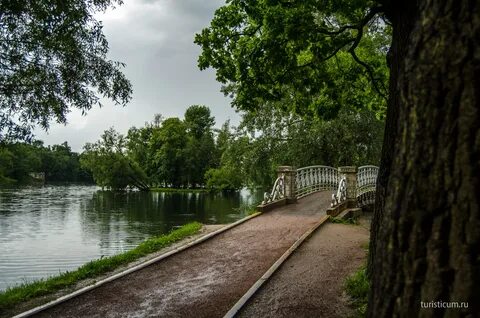 Гатчина севилья