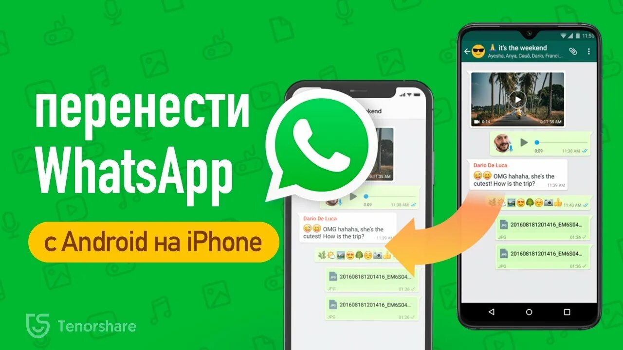 Как перенести переписку whatsapp с телефона