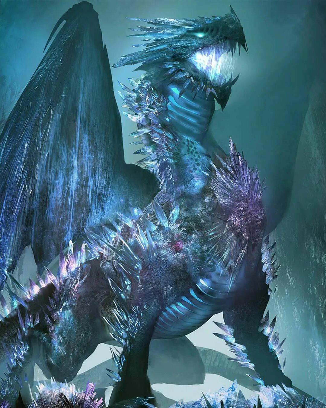 Dragon king s