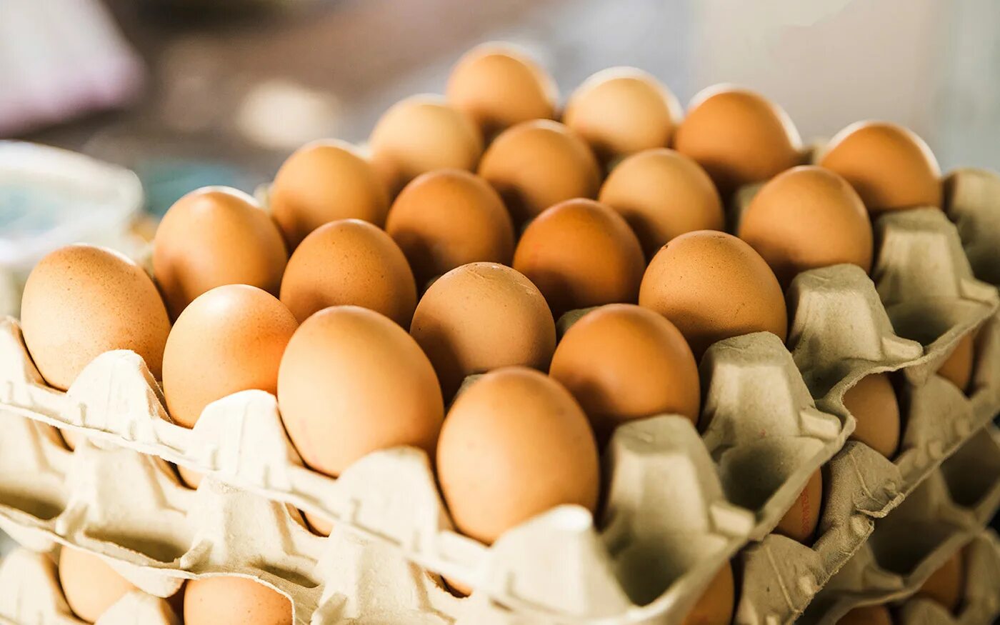 К чему снится собирать много куриных яиц. Яйцо куриное. Десяток яиц. Яйцо домашнее куриное. Яйцо (пищевой продукт).