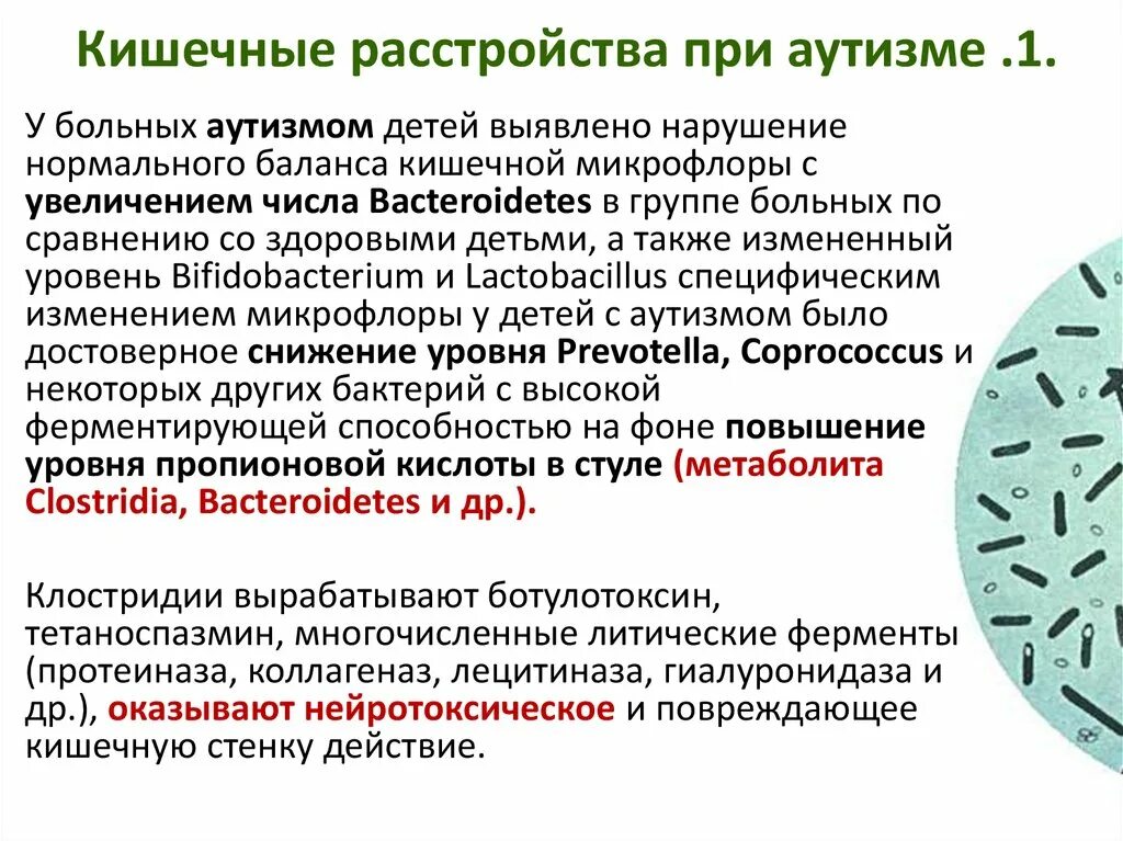 Аутизм протокол. Нарушения мозга при аутизме. механизмы нарушения при аутизме. лекарства при аутизме. нейроанатомия при аутизме.