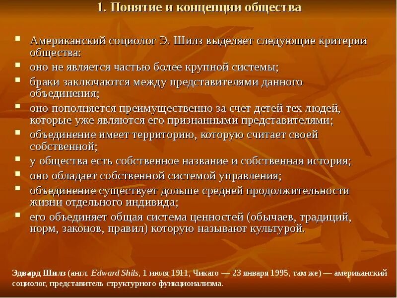 Брачная система. Американский социолог э Шилз выделил следующие признаки общества. Структура общества Шилза. Основные признаки общества по Шилзу.