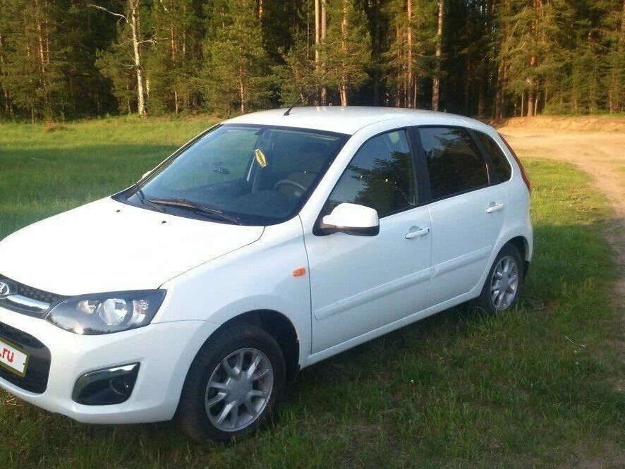 краска цвета снега