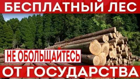 Бесплатный лес на строительство дома закон