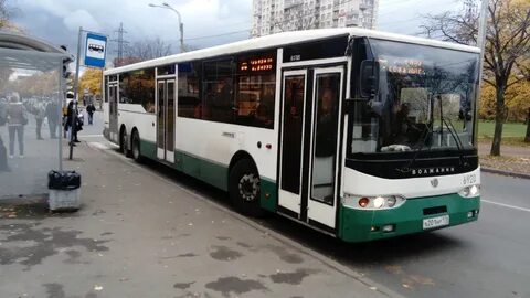 130 автобус спб