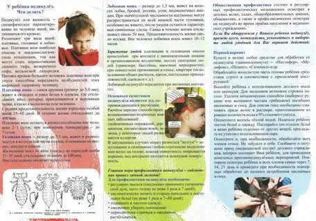 Карантин по педикулезу в детском саду