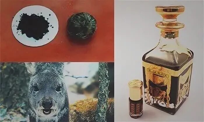 Мускусным