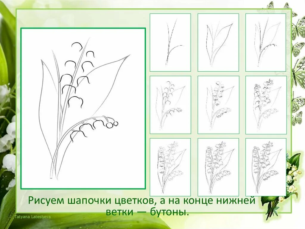 Давай нарисуем цветы. Рисование ландыша в подготовительной группе. цветы поэтапное рисование ландыш. ландыш рисунок для детей поэтапно. как нарисовать ландыш карандашом поэтапно.