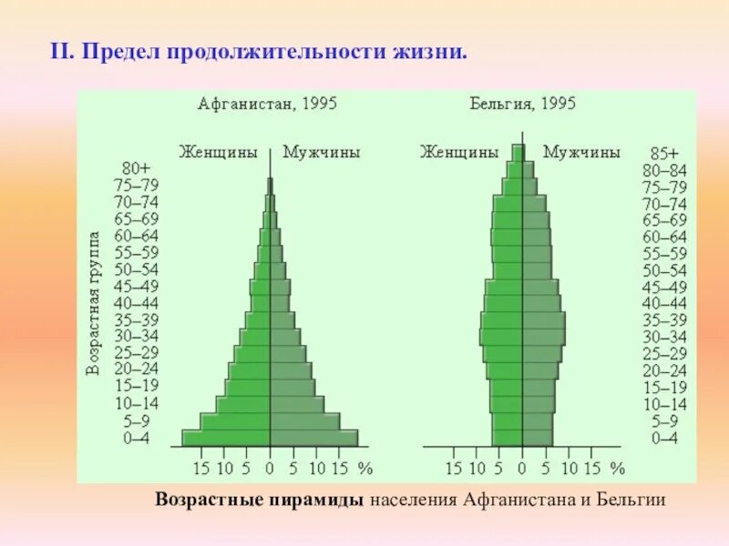 Возрастные группы популяции. Динамика численности населения России Половозрастная пирамида. Возрастные пирамиды населения. Возрастная пирамида растущей популяции. Возрастная структура популяции.