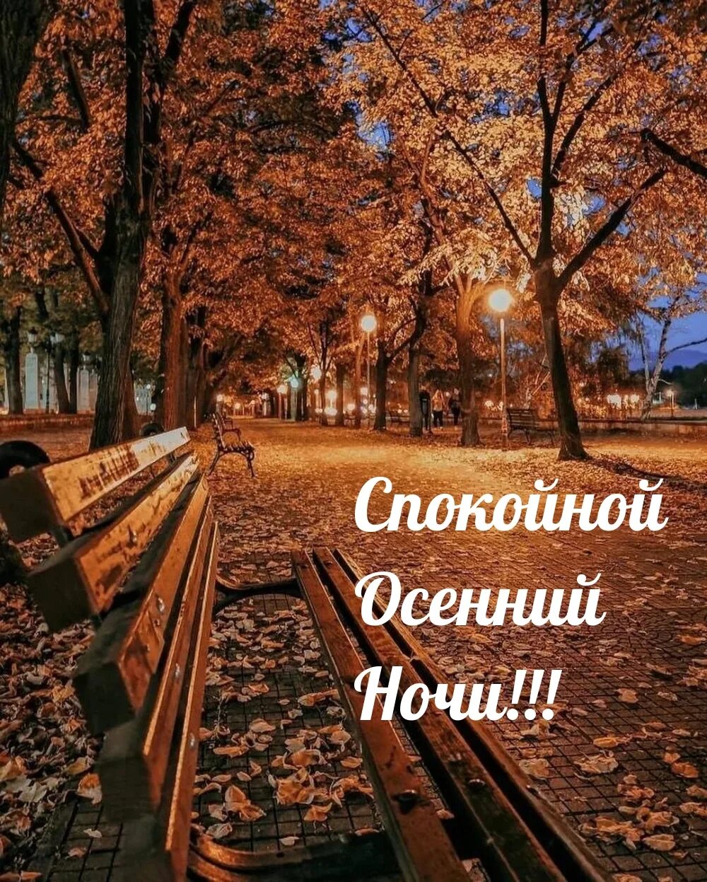 Картинки спокойной осенней