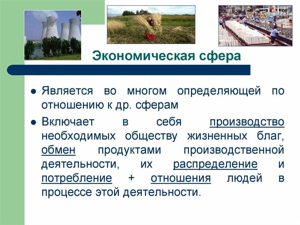 Основные сферы жизнедеятельности человека. Экономичные сферы общества. Характеристика социальной сферы общества. Элементом экономической сферы является. Экономическая сфера общества.