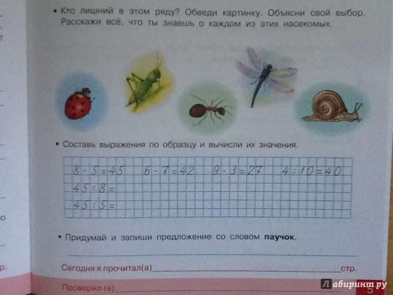 Занятия на каникулах из 2 в 3. Работа на каникулах 3 класс. Занимаемся на каникулах 2 класс. Занимаемся на каникулах 1 класс. Интересные задания на каникулы.