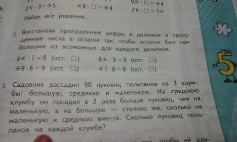 90 луковиц тюльпанов на 3