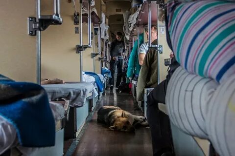 Плацкарт пассажиры