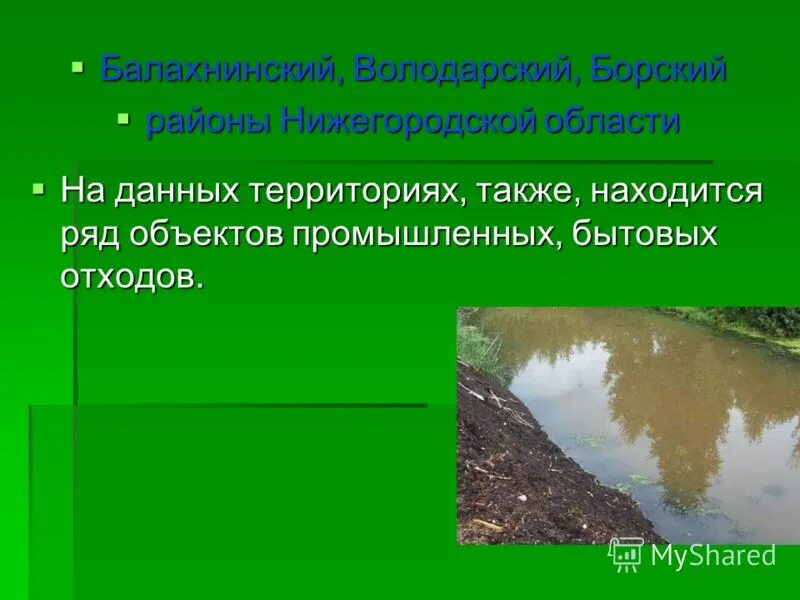 лисинский заказник. усть-ленский заповедник птицы. тайга пинежский архангельская область. памятники природного и культурного наследия. природа зейского района амурской области.