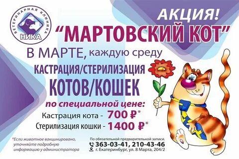 Мартовский кот ветеринарная