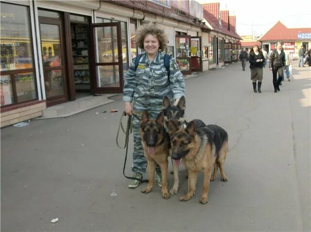 Кинологический колледж после 9 класса. Колледж 38 кинология. Скрябина, 38 колледж кинологов. ЮУКБ Челябинск кинолог. Кинолог комитент Челябинск.