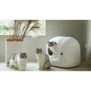 Petkit туалет для кошек