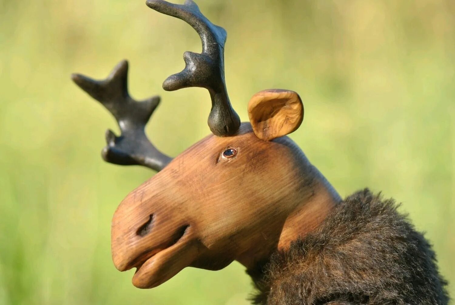 смешной лось. тупой олень. забавный лось. смешной лось. забавный лось.